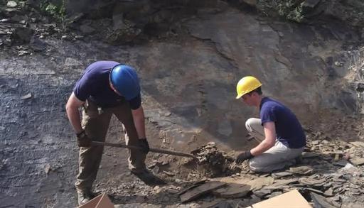 We even have dinosaurs!