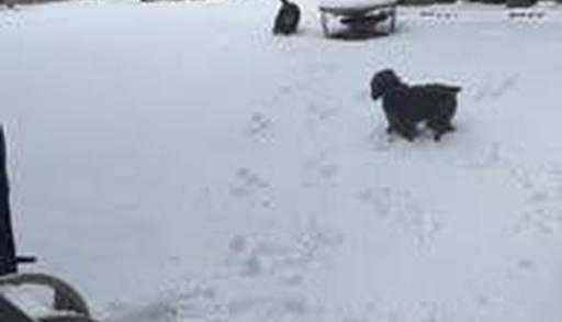 You don't want to miss this!