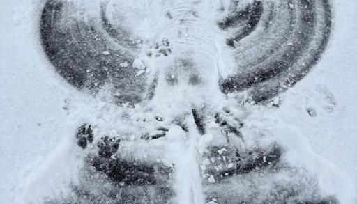 We have ALL 4 seasons
#martinsvillelife
#MovetoMartinsville