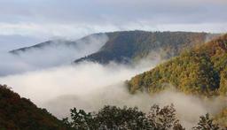 The Blue Ridge Mountains and Parkway are assests in our area