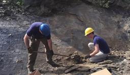 We even have dinosaurs!