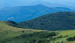 4 seasons and beautiful 
Blue Ridge Mountain views