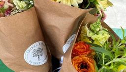 Spring shopping has sprung