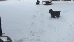 You don't want to miss this!