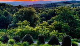 Martinsville sits at the foothills of the Blue Ridge Mountains ...