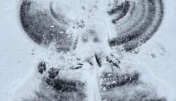 We have ALL 4 seasons
#martinsvillelife
#MovetoMartinsville