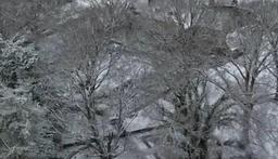 Just another small home in our area!