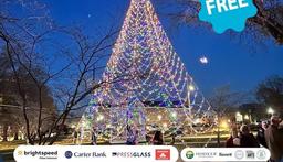 It's the most wonderful time of the year in Martinsville & Henry County!